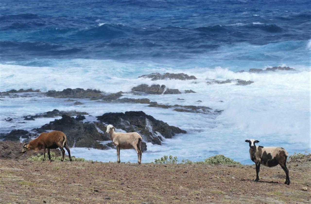 Apartmán <Casa Colibri> La Desirade Les Galets Exteriér fotografie